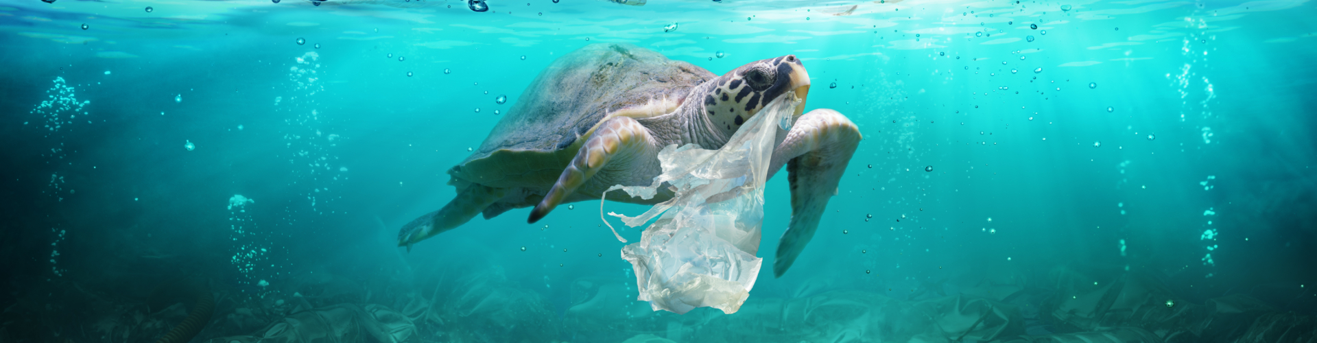 Het plastic afval probleem in Indonesië