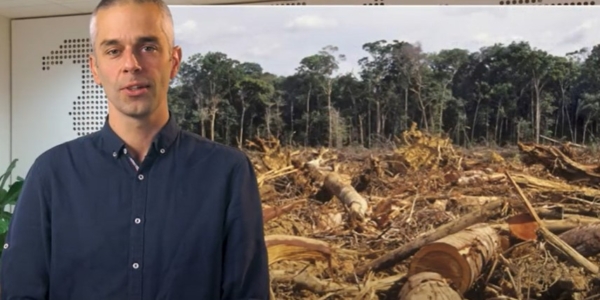 Hoe beïnvloed ontbossing de planeet?