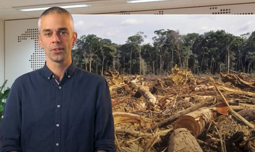 Hoe beinvloed ontbossing de planeet?